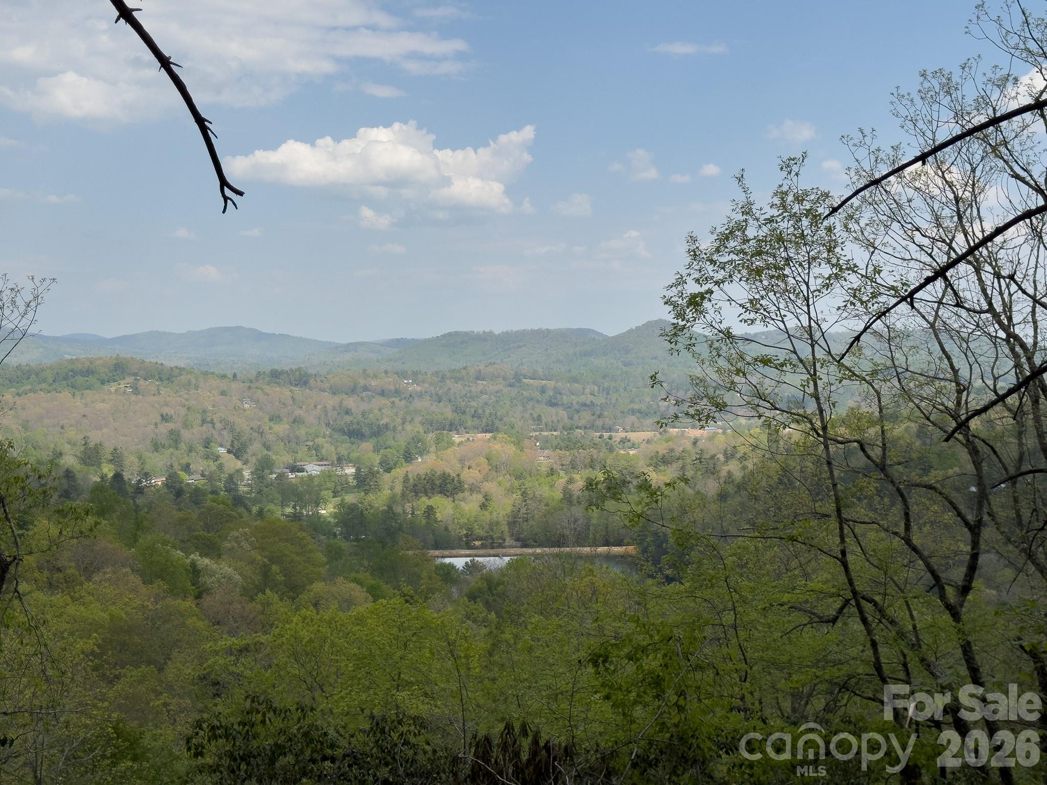 1971 Swiss Pine Lake Drive — Spruce Pine