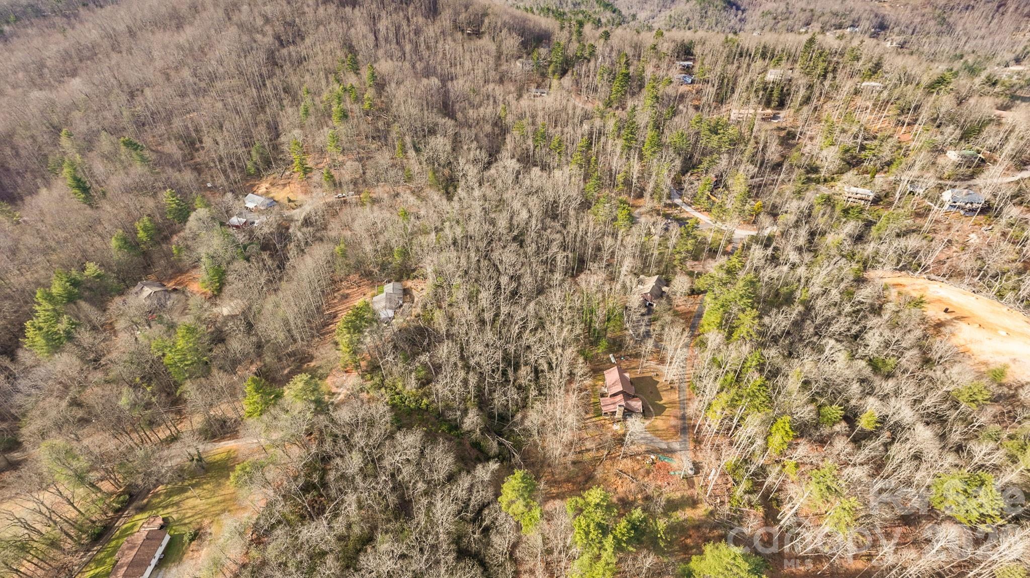 1971 Swiss Pine Lake Drive — Spruce Pine