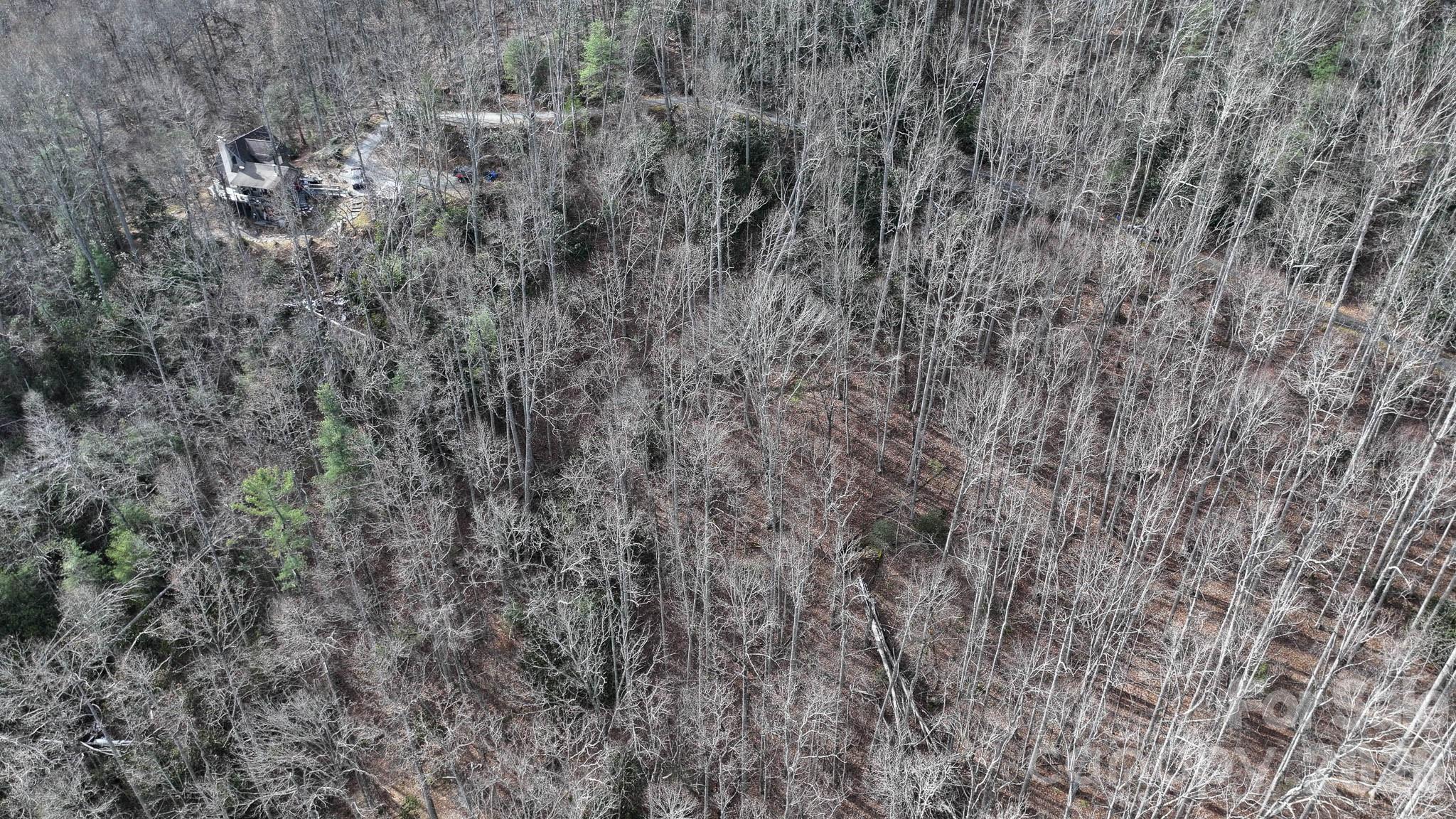1971 Swiss Pine Lake Drive — Spruce Pine