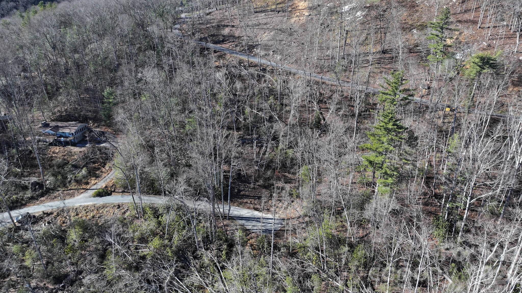 1971 Swiss Pine Lake Drive — Spruce Pine