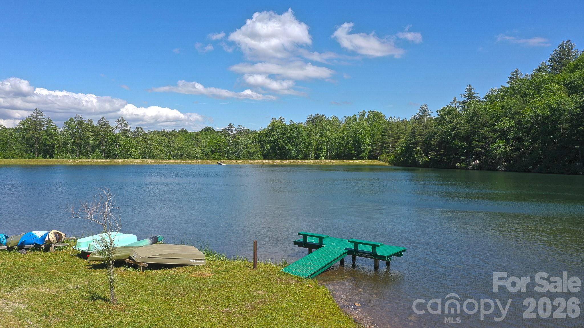 1971 Swiss Pine Lake Drive — Spruce Pine