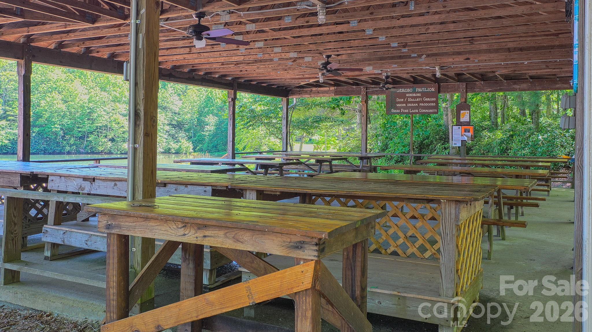 1971 Swiss Pine Lake Drive — Spruce Pine