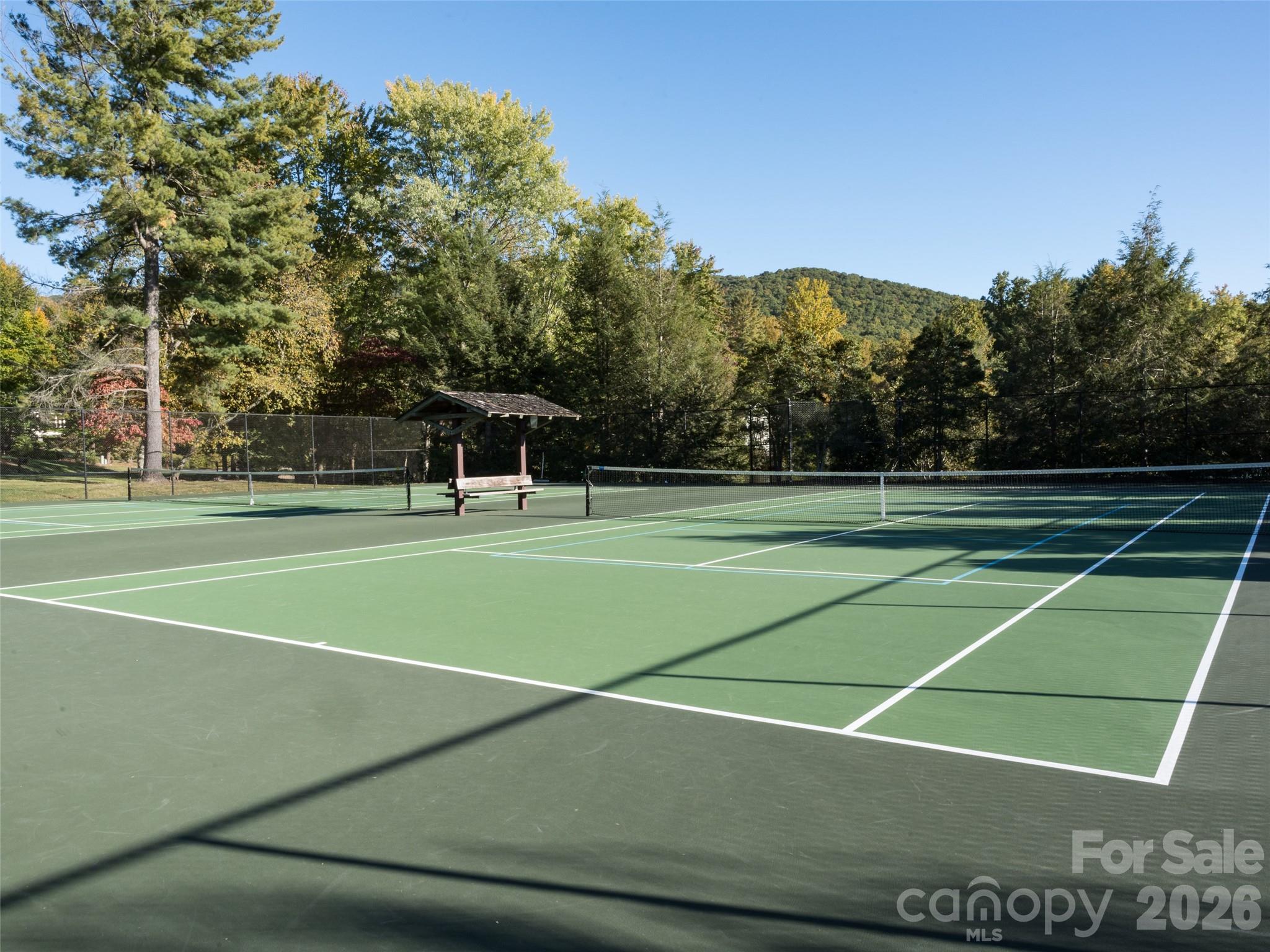 541 Welsh Partridge Circle — Biltmore Lake
