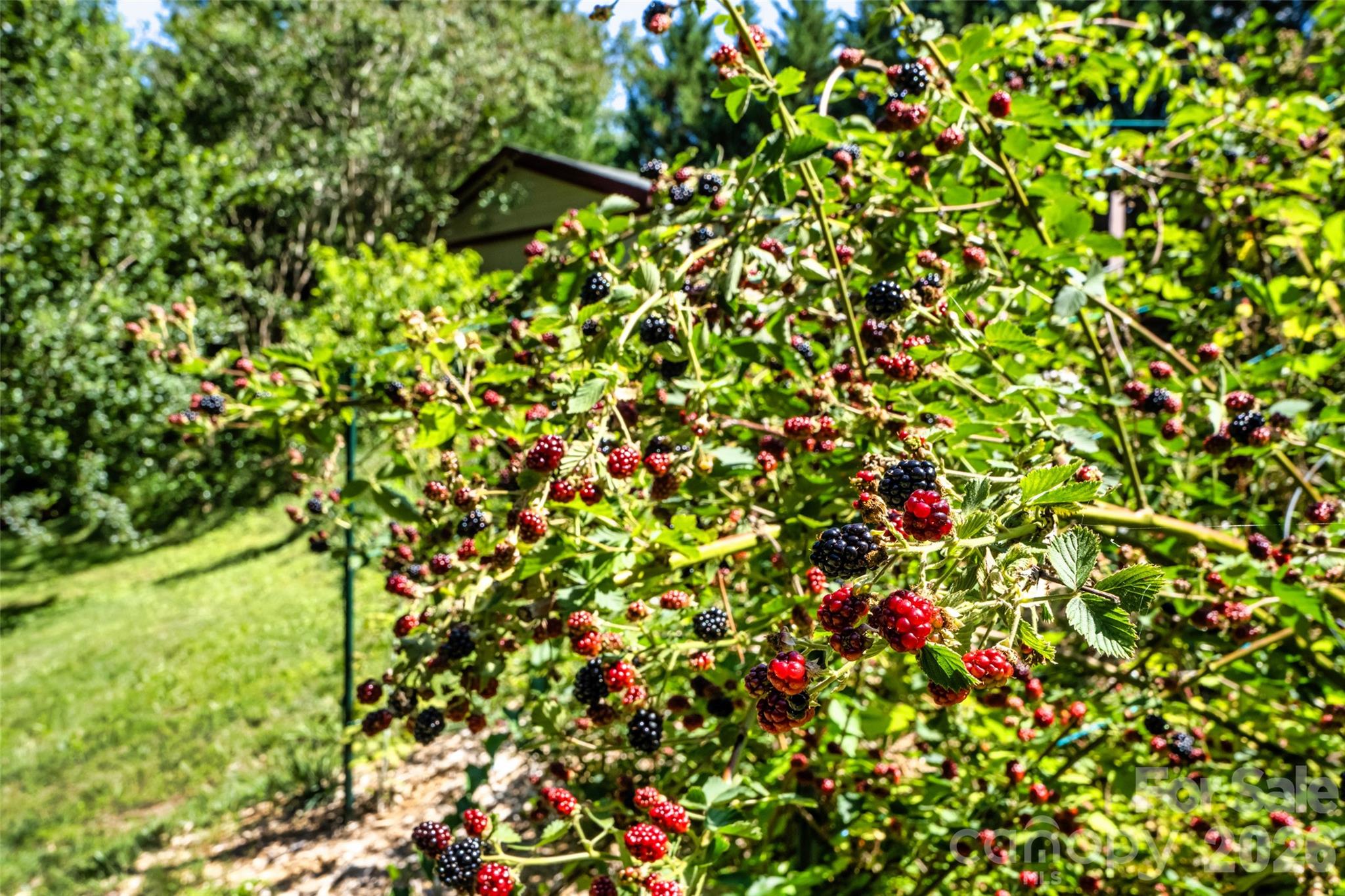 435 McMinn Road — Hendersonville