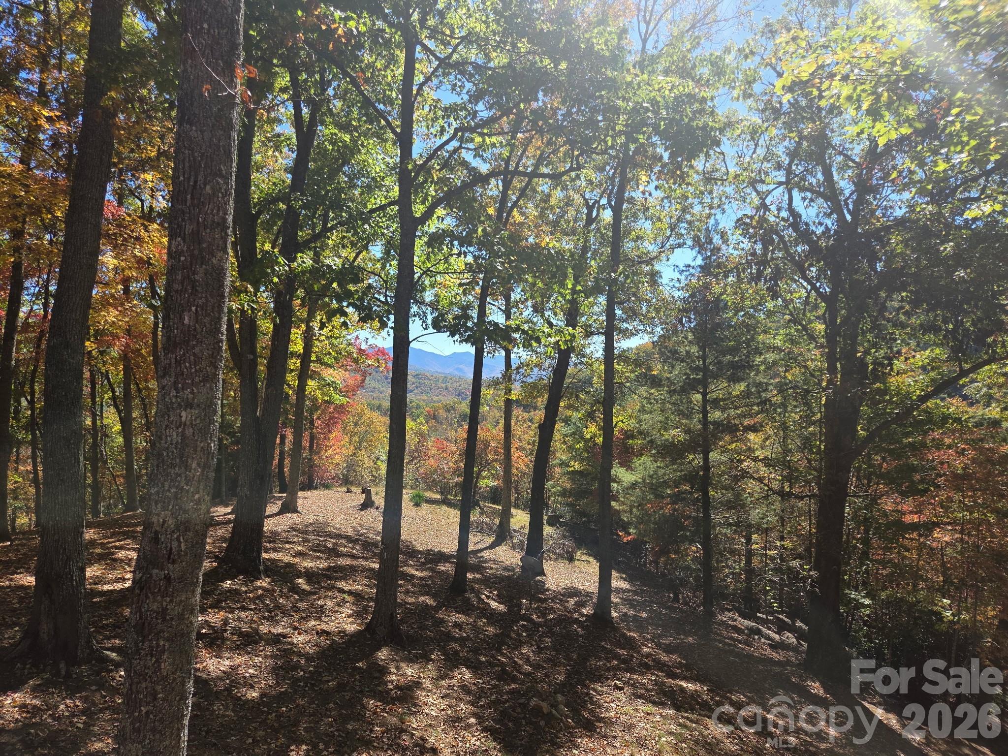 820 Wild Rose Lane — Burnsville