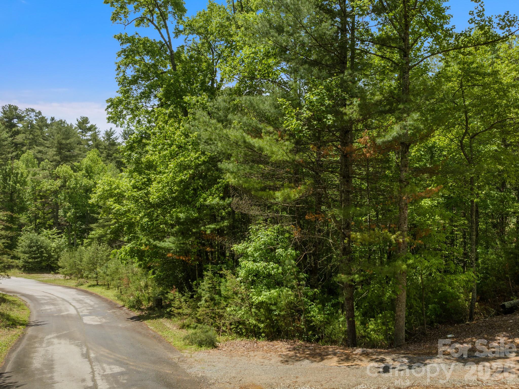 Lot #28 Awi Trail — Hendersonville