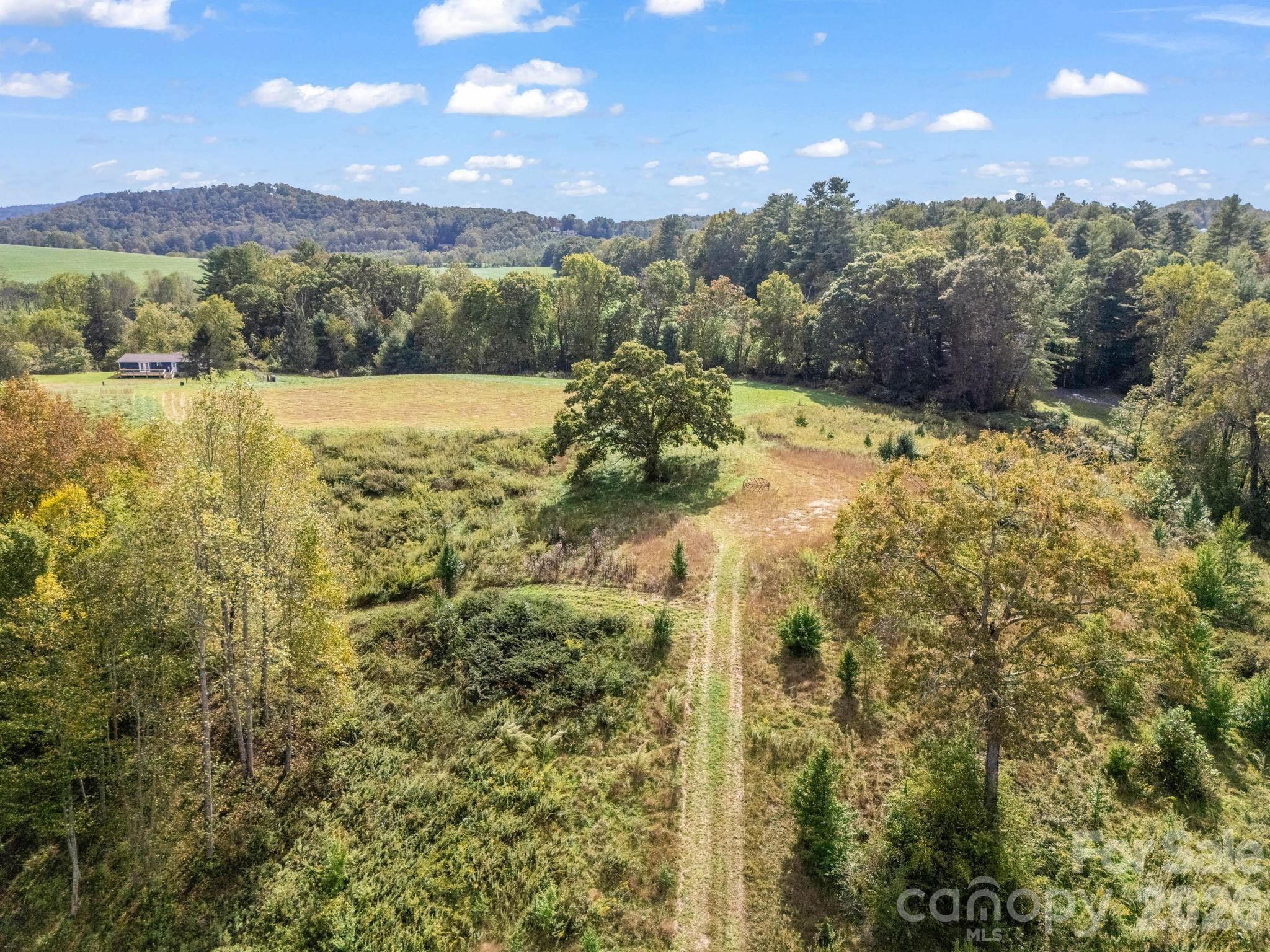 128 Cook Lane #(25 Acres) — Mills River