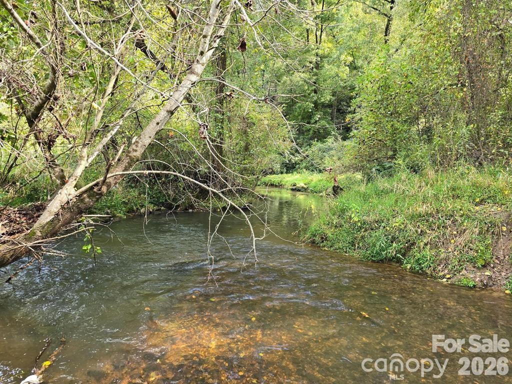 128 Cook Lane #(25 Acres) — Mills River