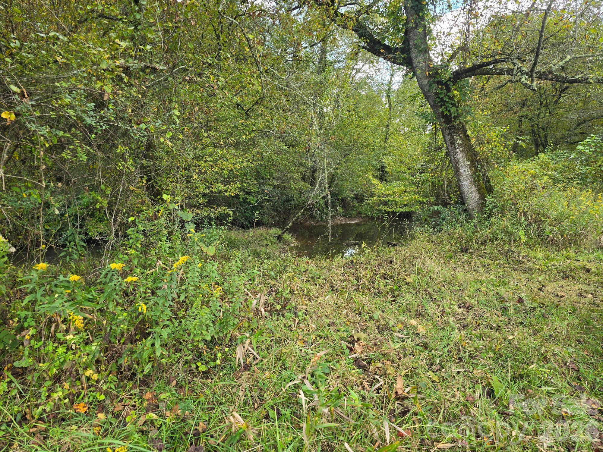 128 Cook Lane #(25 Acres) — Mills River