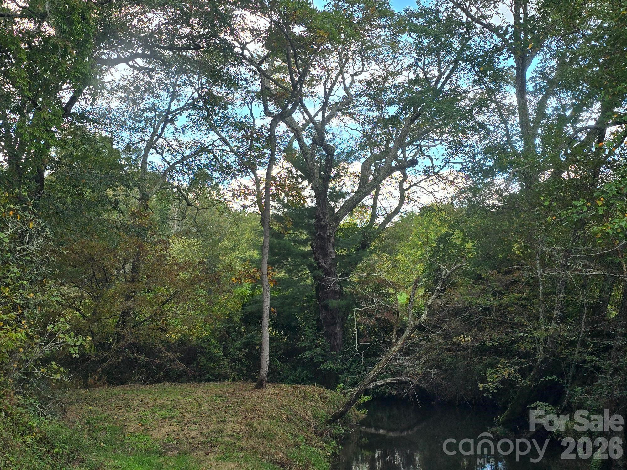 128 Cook Lane #(25 Acres) — Mills River