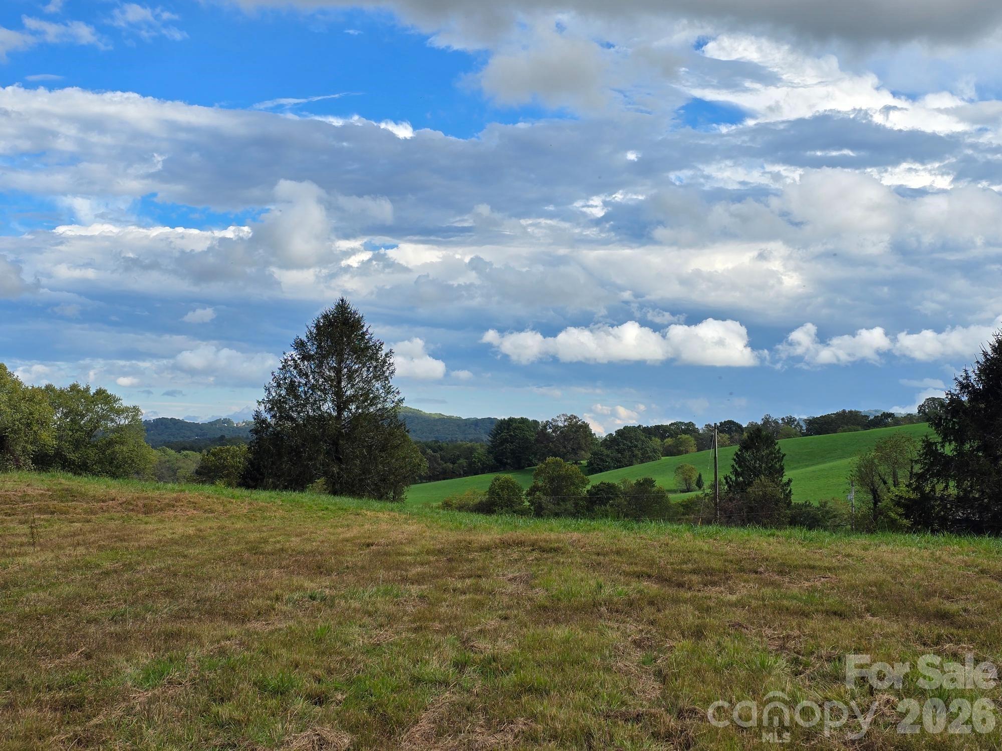 128 Cook Lane #(25 Acres) — Mills River