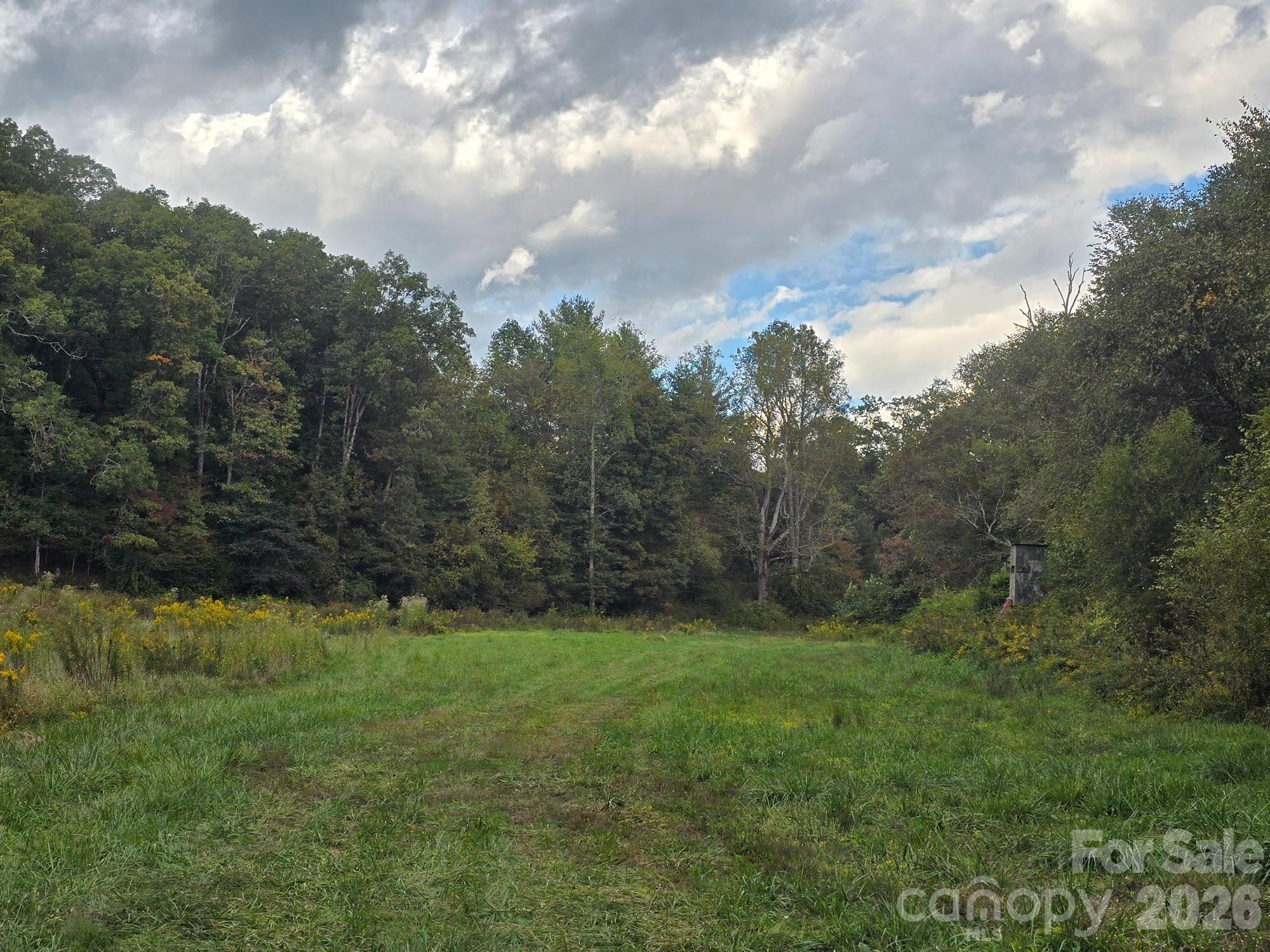 128 Cook Lane #(25 Acres) — Mills River