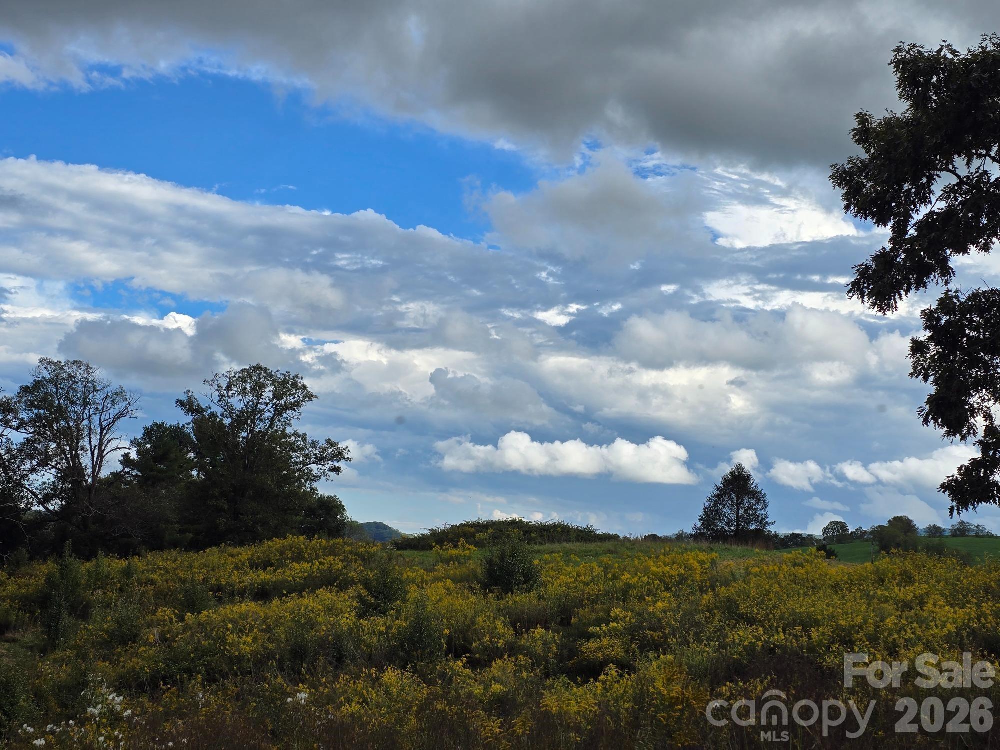 128 Cook Lane #(25 Acres) — Mills River