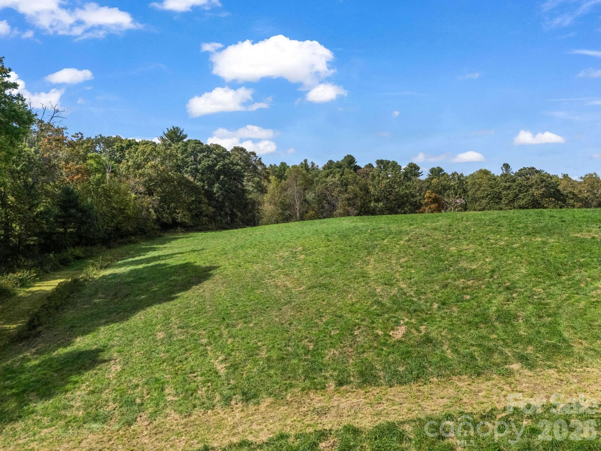 128 Cook Lane #(25 Acres) — Mills River
