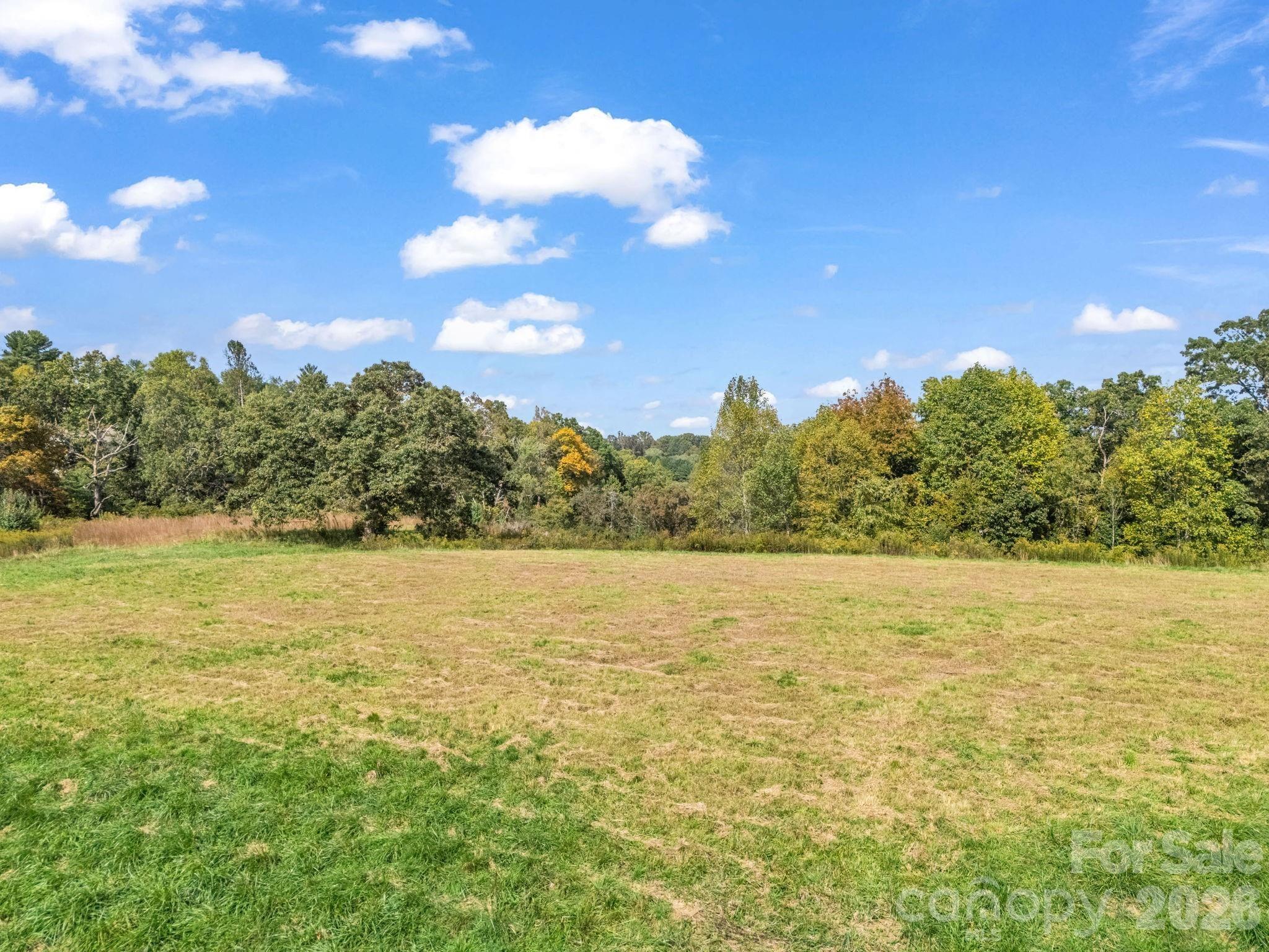 128 Cook Lane #(25 Acres) — Mills River