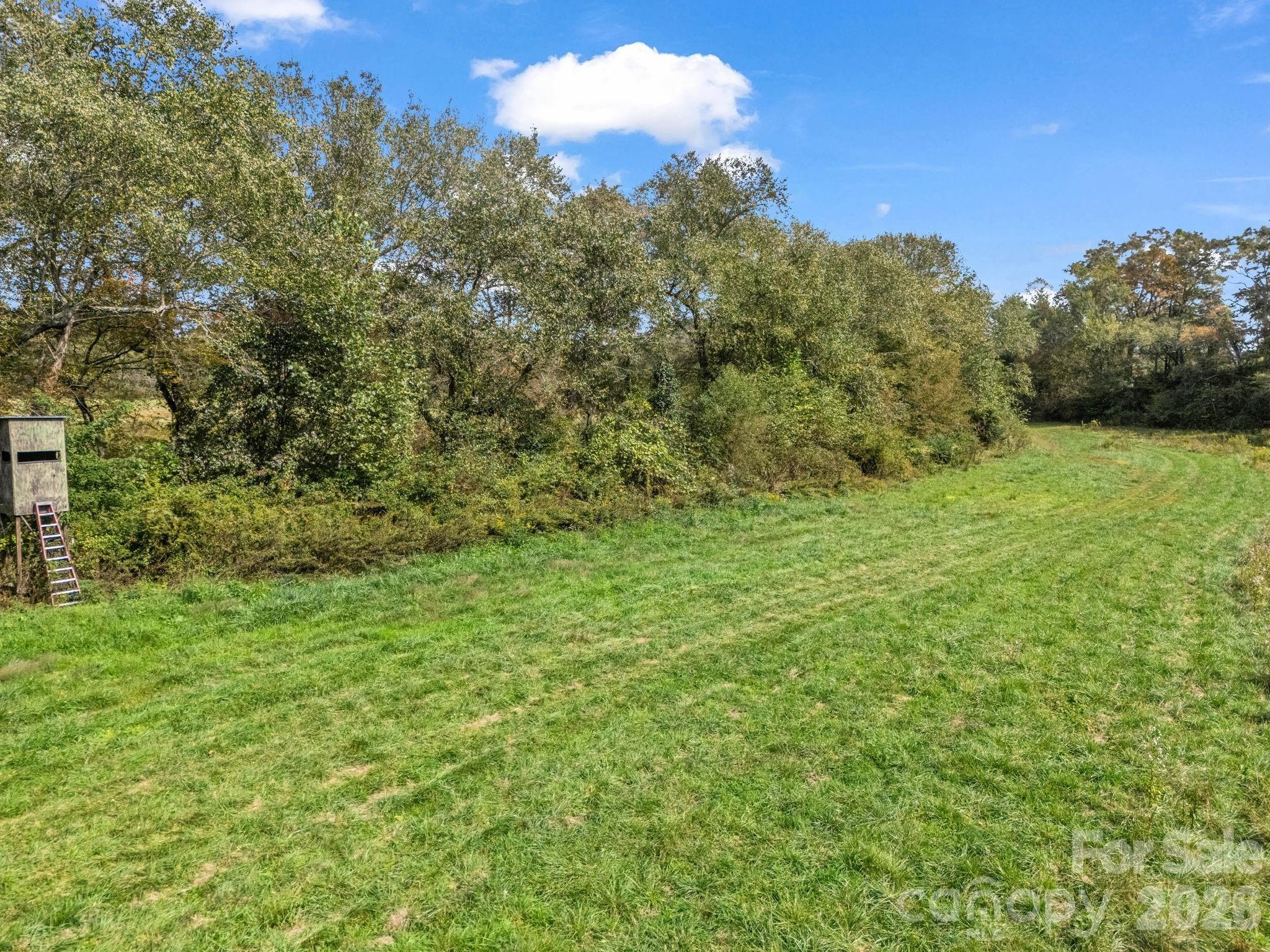 128 Cook Lane #(25 Acres) — Mills River