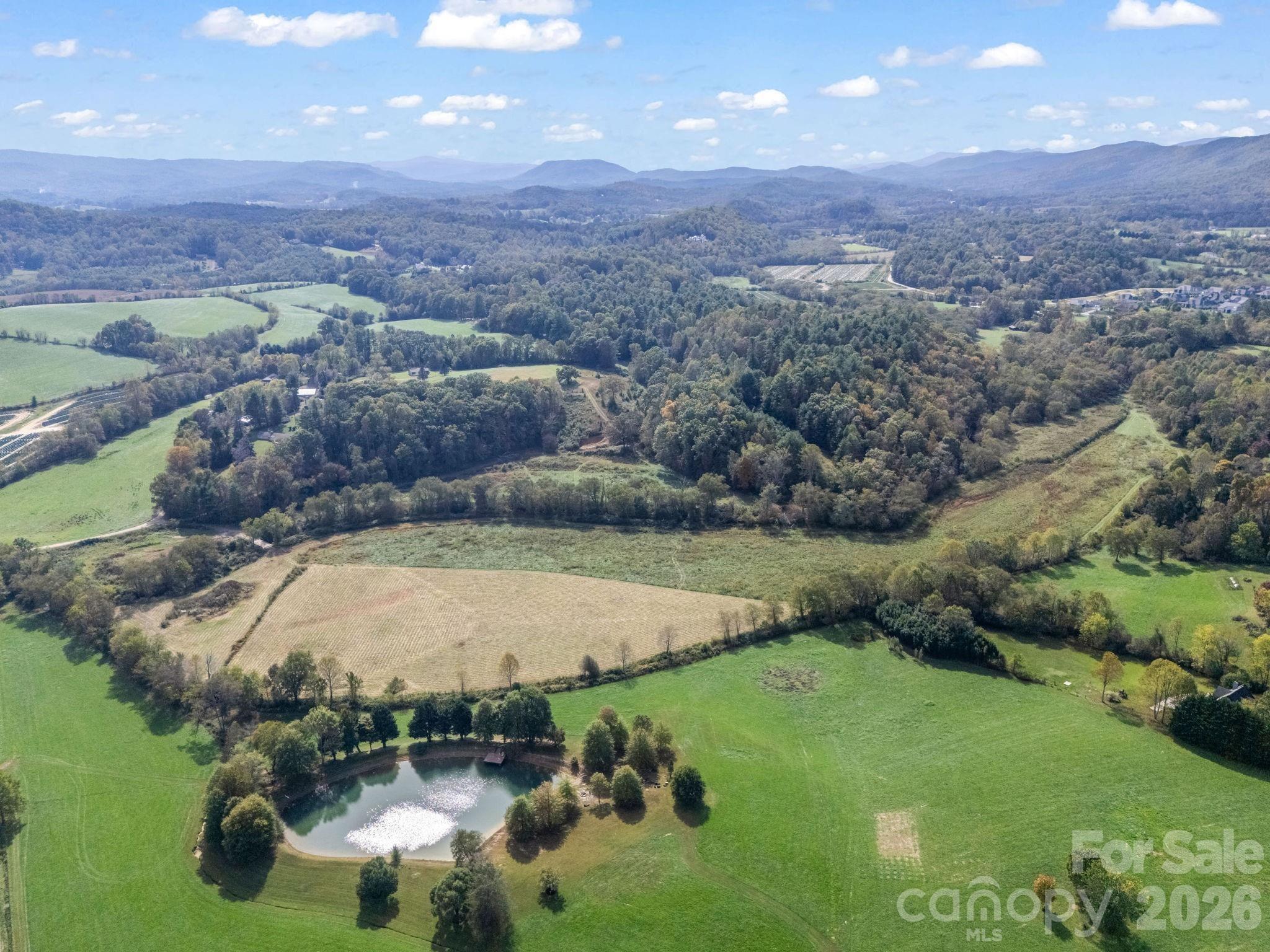 128 Cook Lane #(25 Acres) — Mills River
