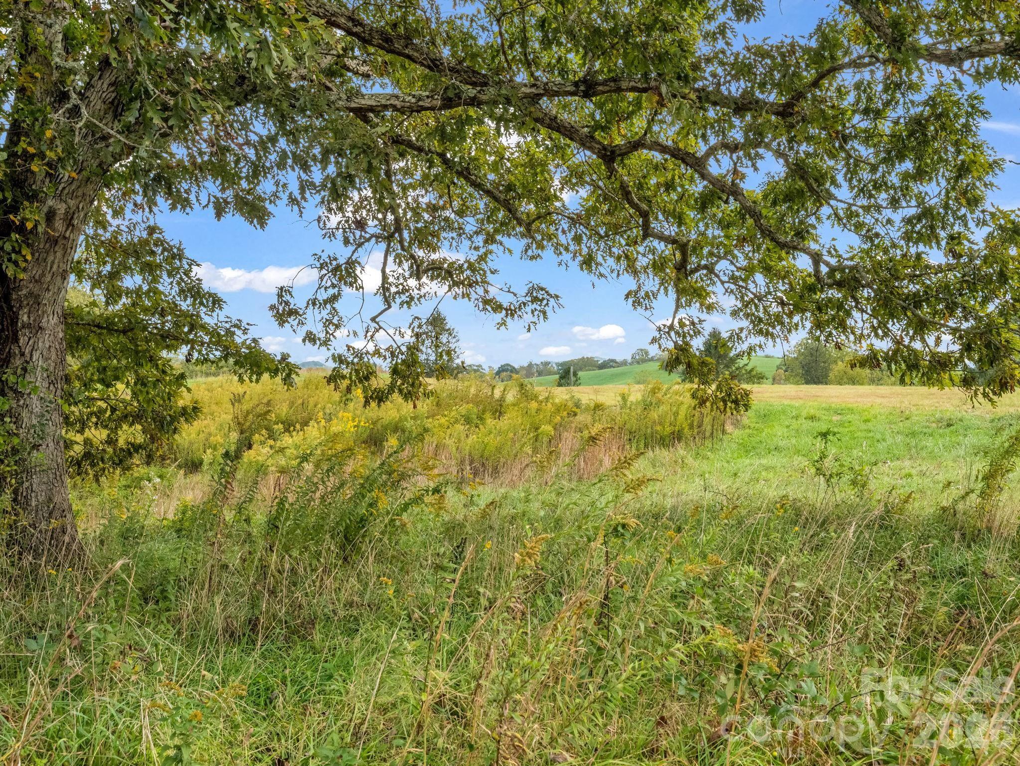 128 Cook Lane #(25 Acres) — Mills River