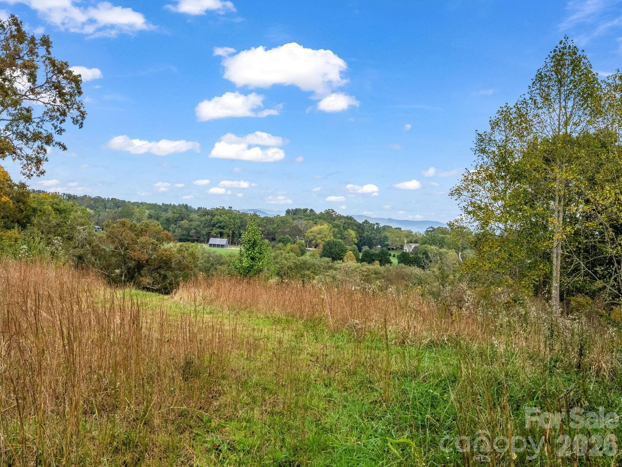 128 Cook Lane #(25 Acres) — Mills River