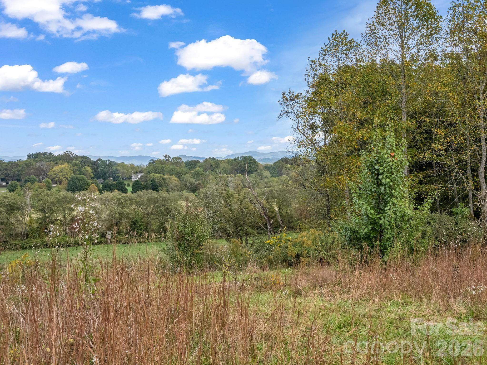 128 Cook Lane #(25 Acres) — Mills River