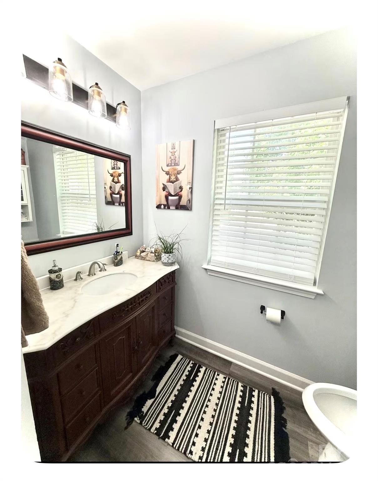 409 Goosedown Court — Charlotte