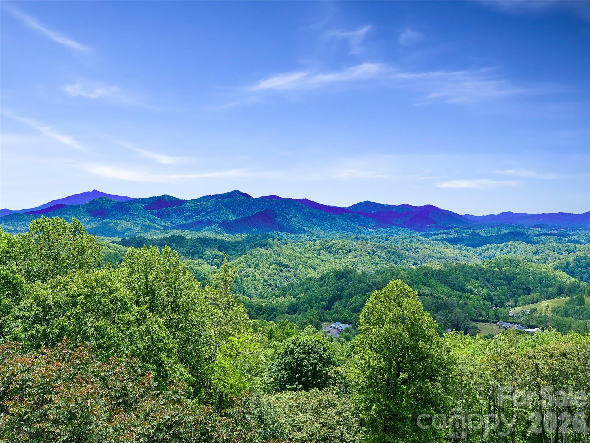 483 Birdie Lane — Bakersville