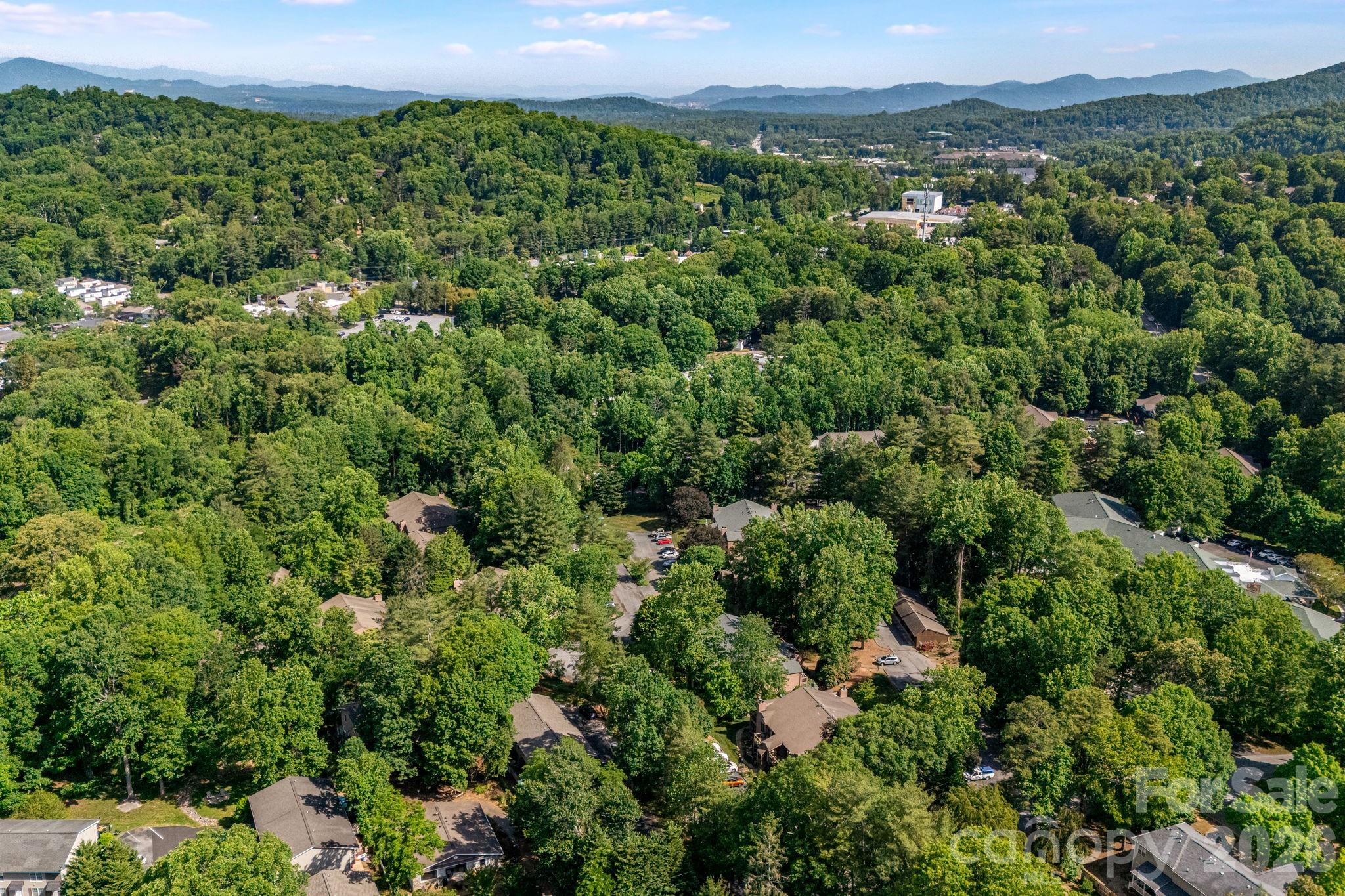 60 Ravencroft Lane — Asheville