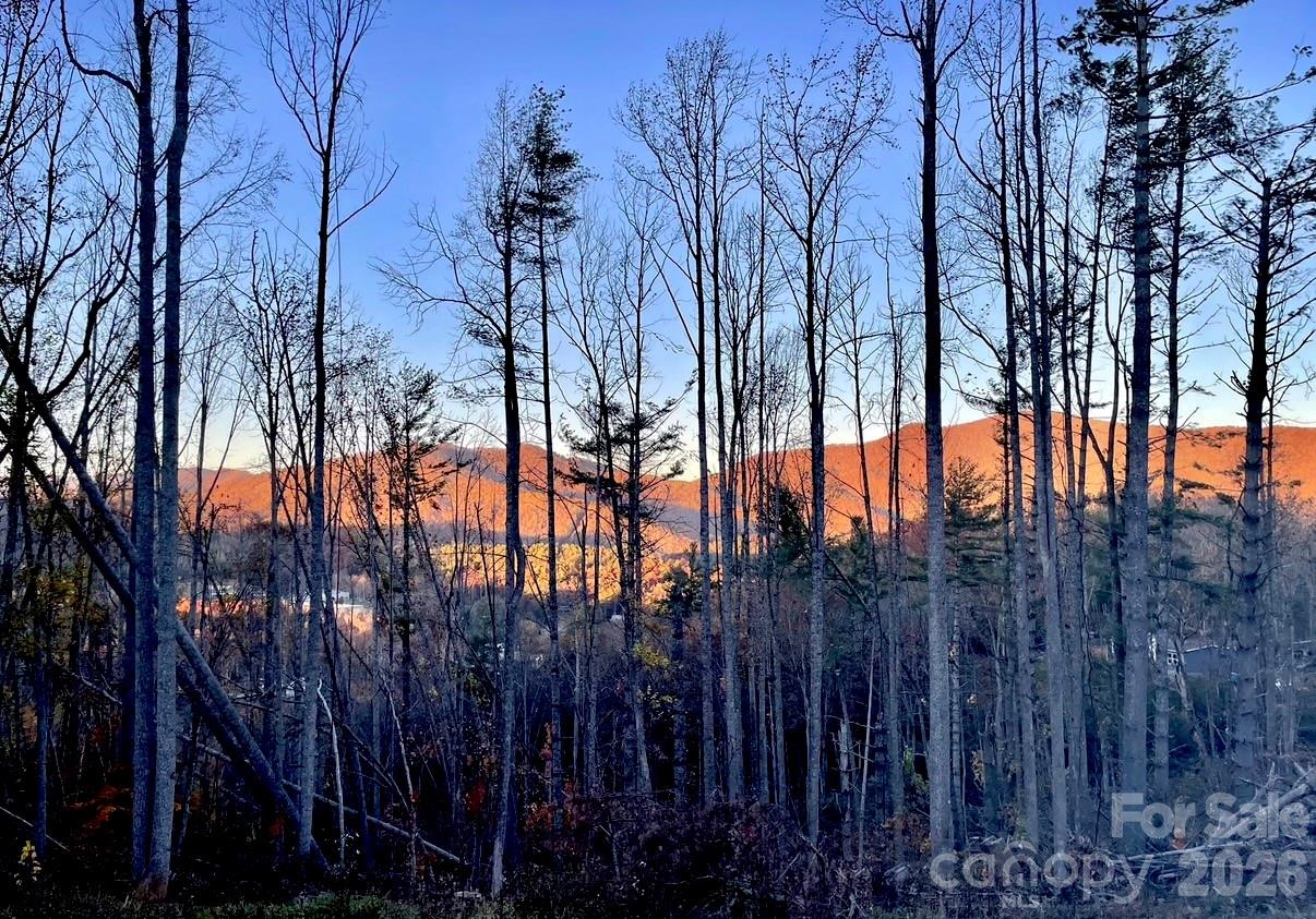 86 Jarrett Drive — Bakersville