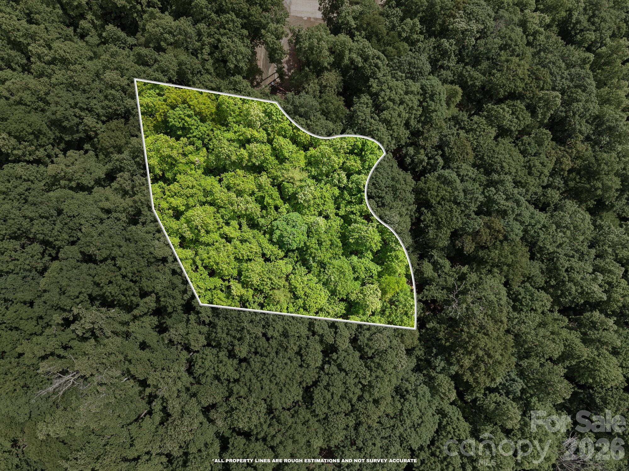 145 Hickory Tree Lane — Hendersonville