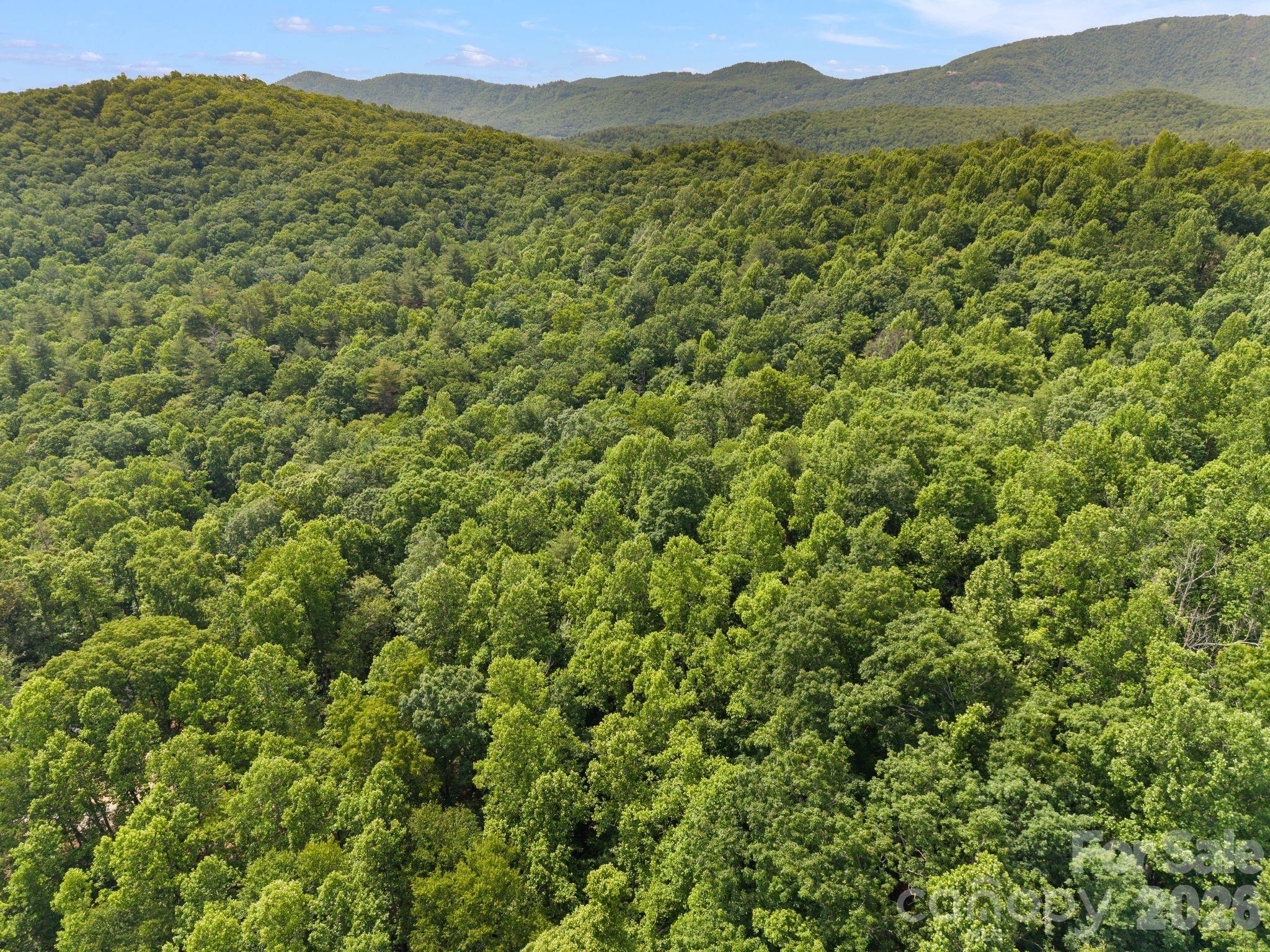 145 Hickory Tree Lane — Hendersonville