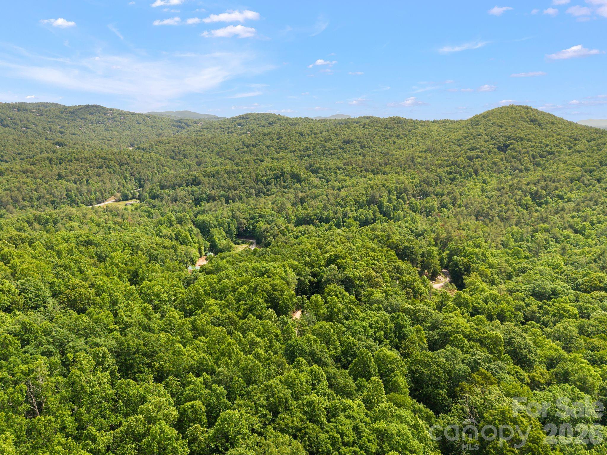 145 Hickory Tree Lane — Hendersonville
