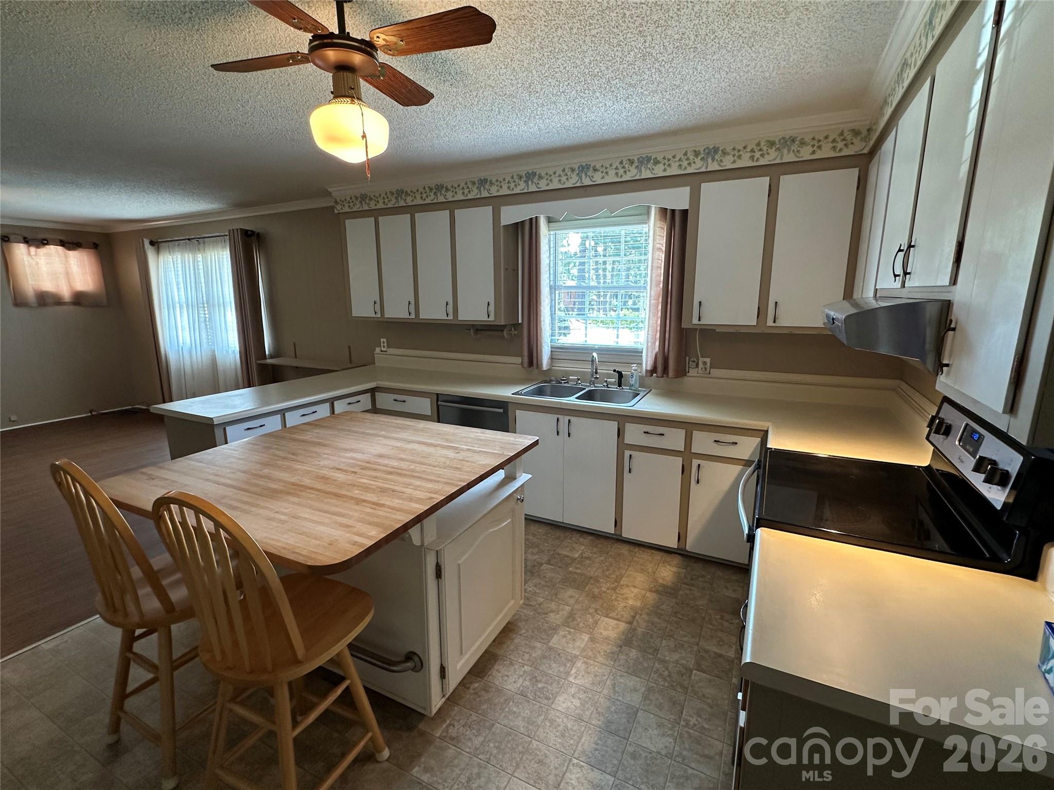 419 E Pigg Street — Pageland