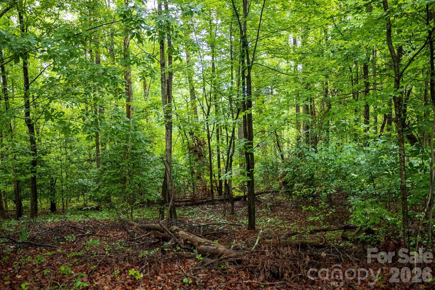 1225 Moss Road — Rutherfordton
