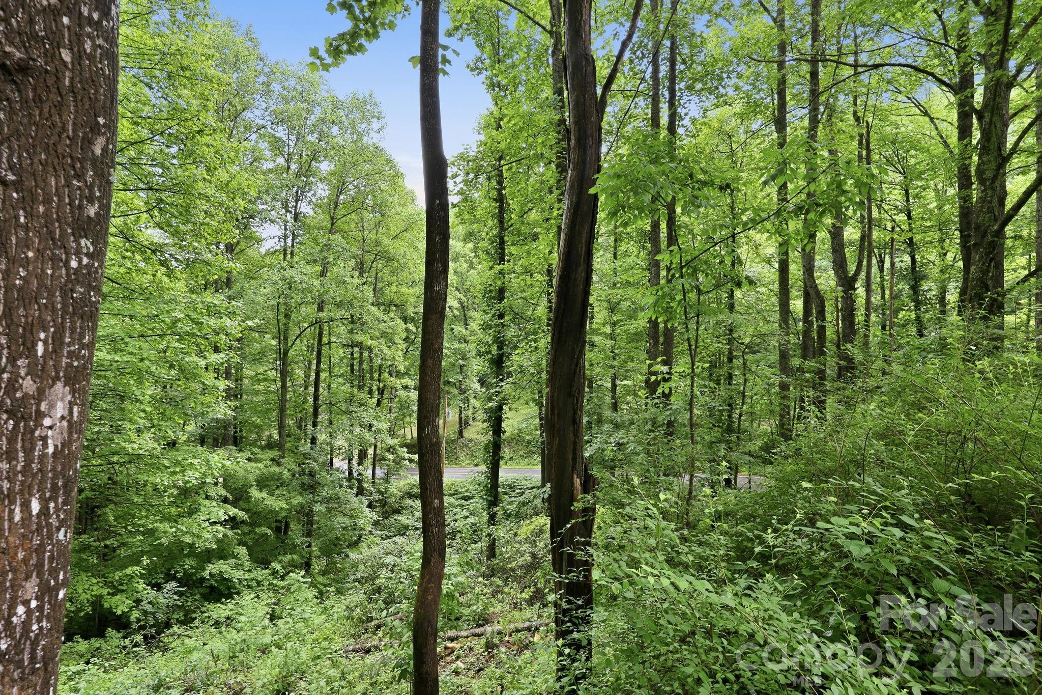 182 Saw Branch Road — Candler