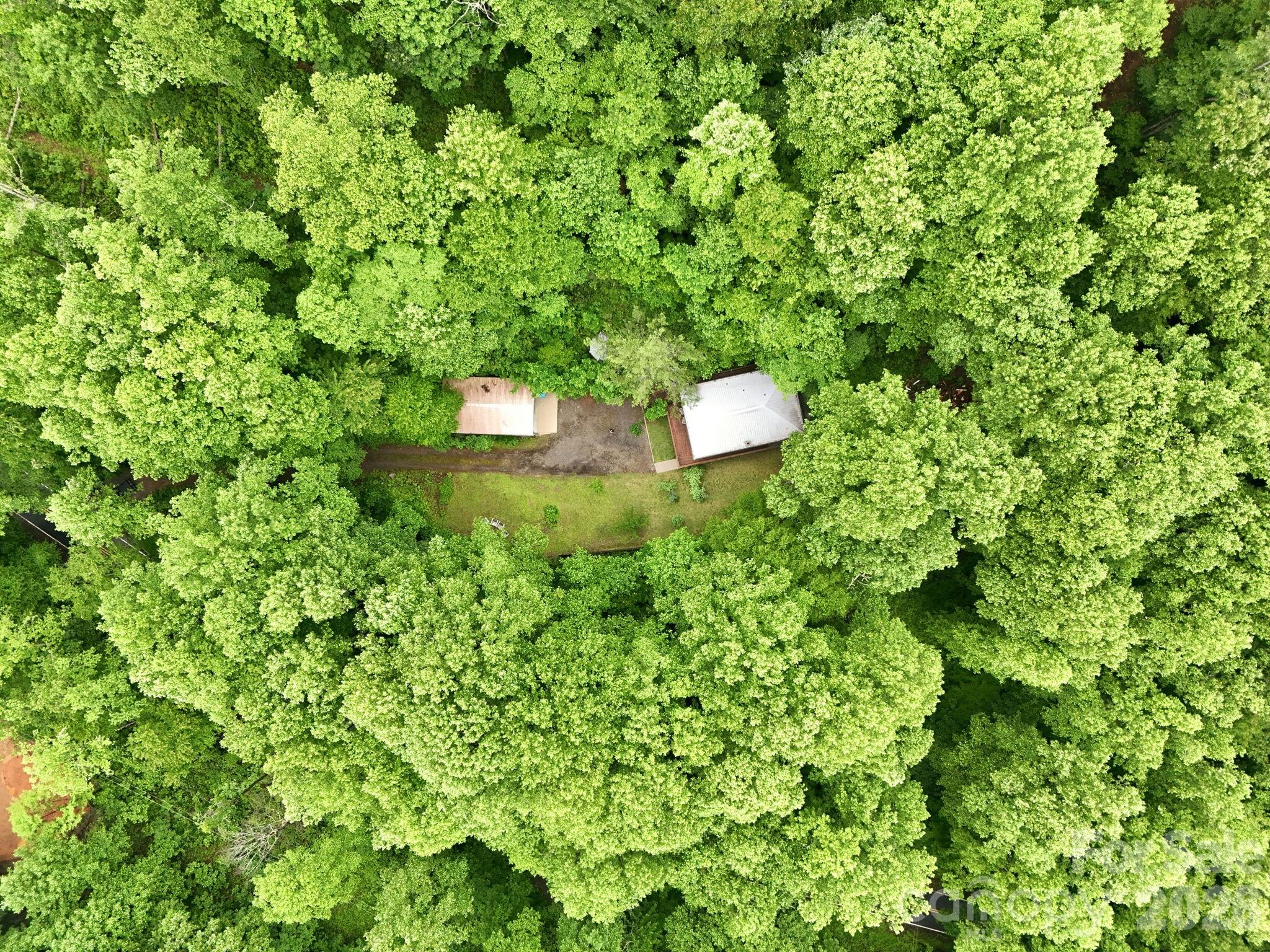 182 Saw Branch Road — Candler