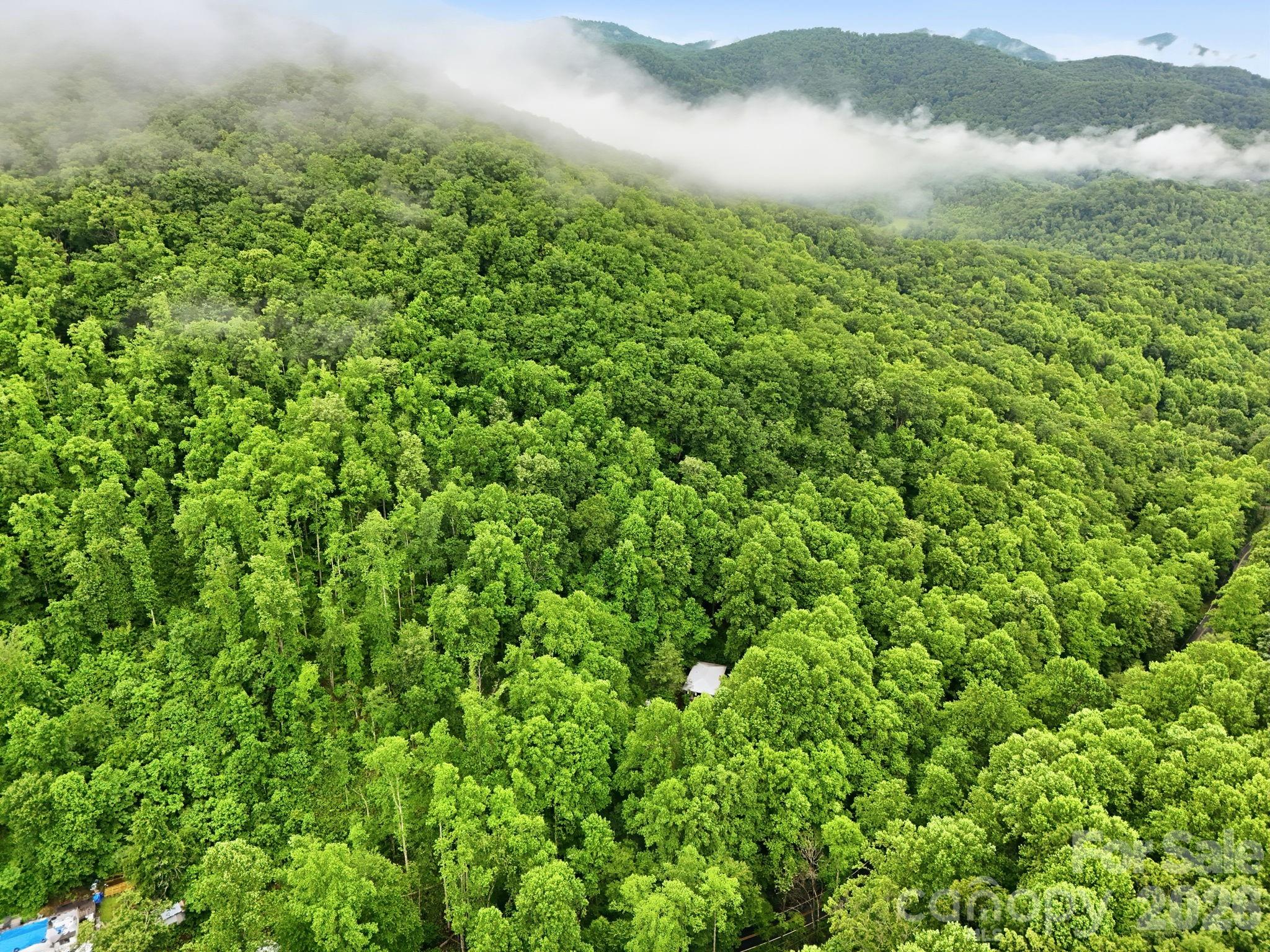 182 Saw Branch Road — Candler