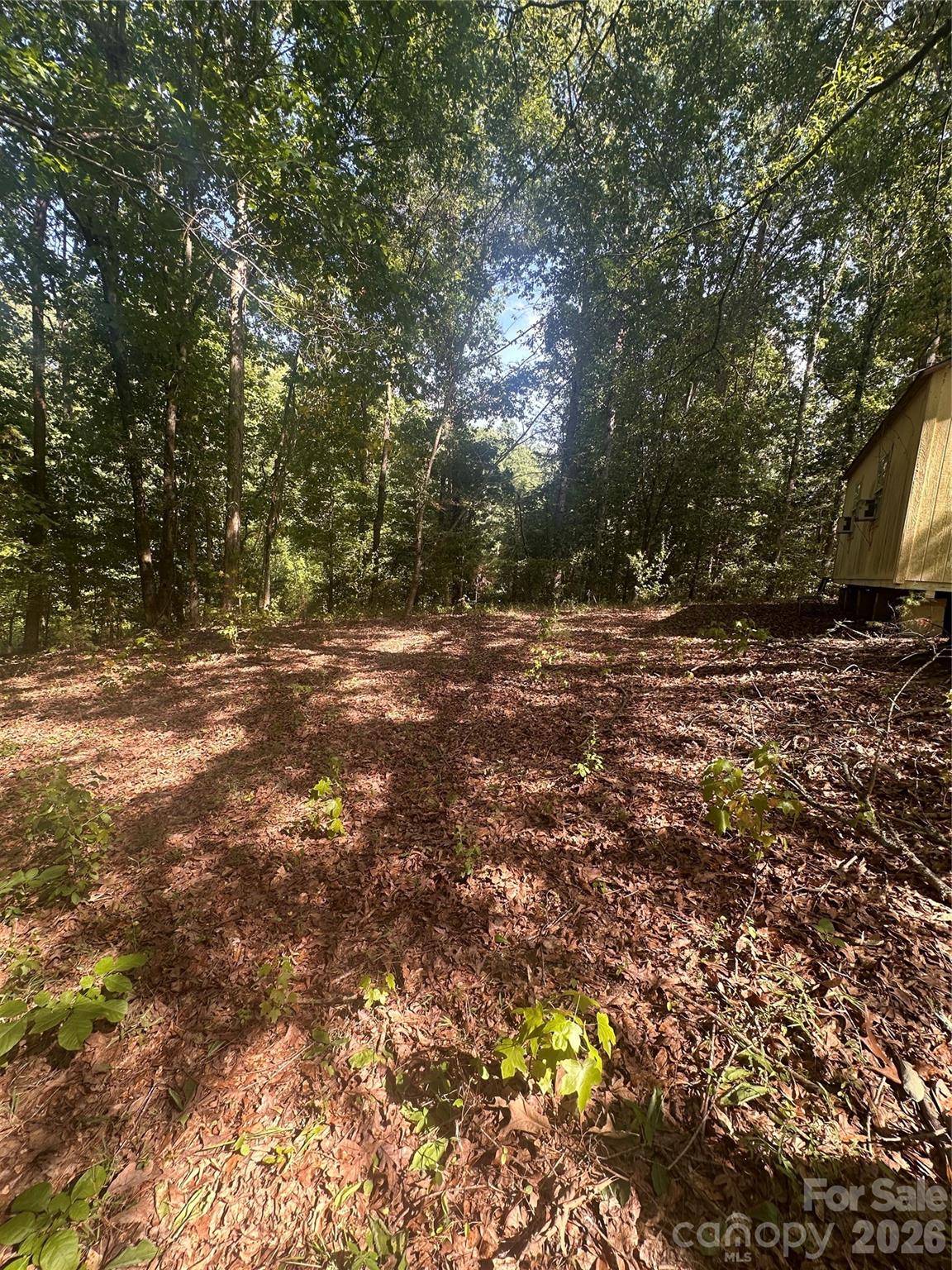 1062 Bayneswood Lane — Fort Mill