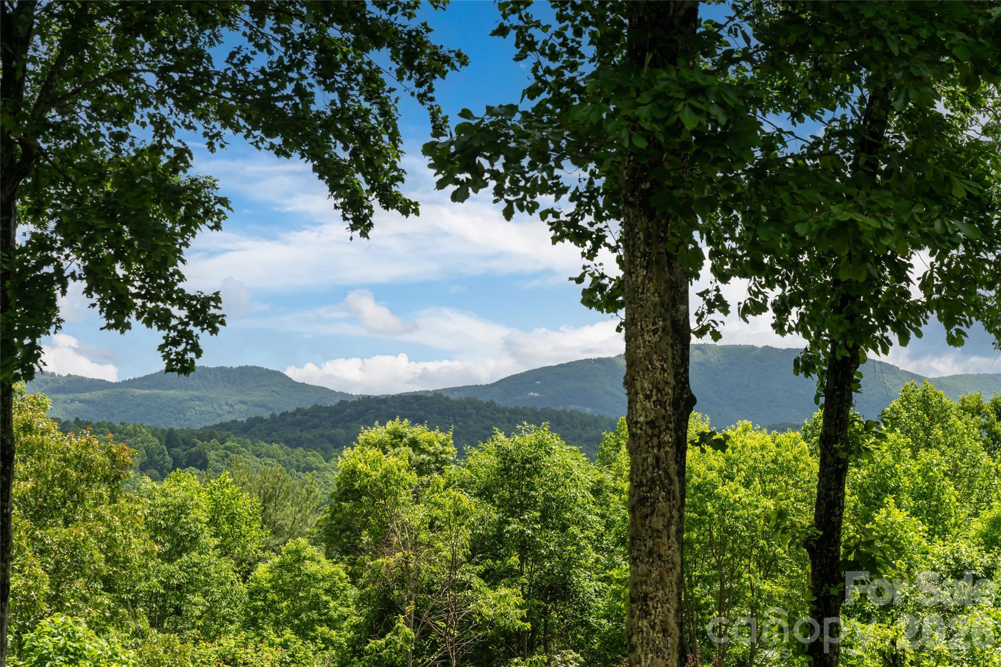 305 Piney Knoll Lane — Hendersonville