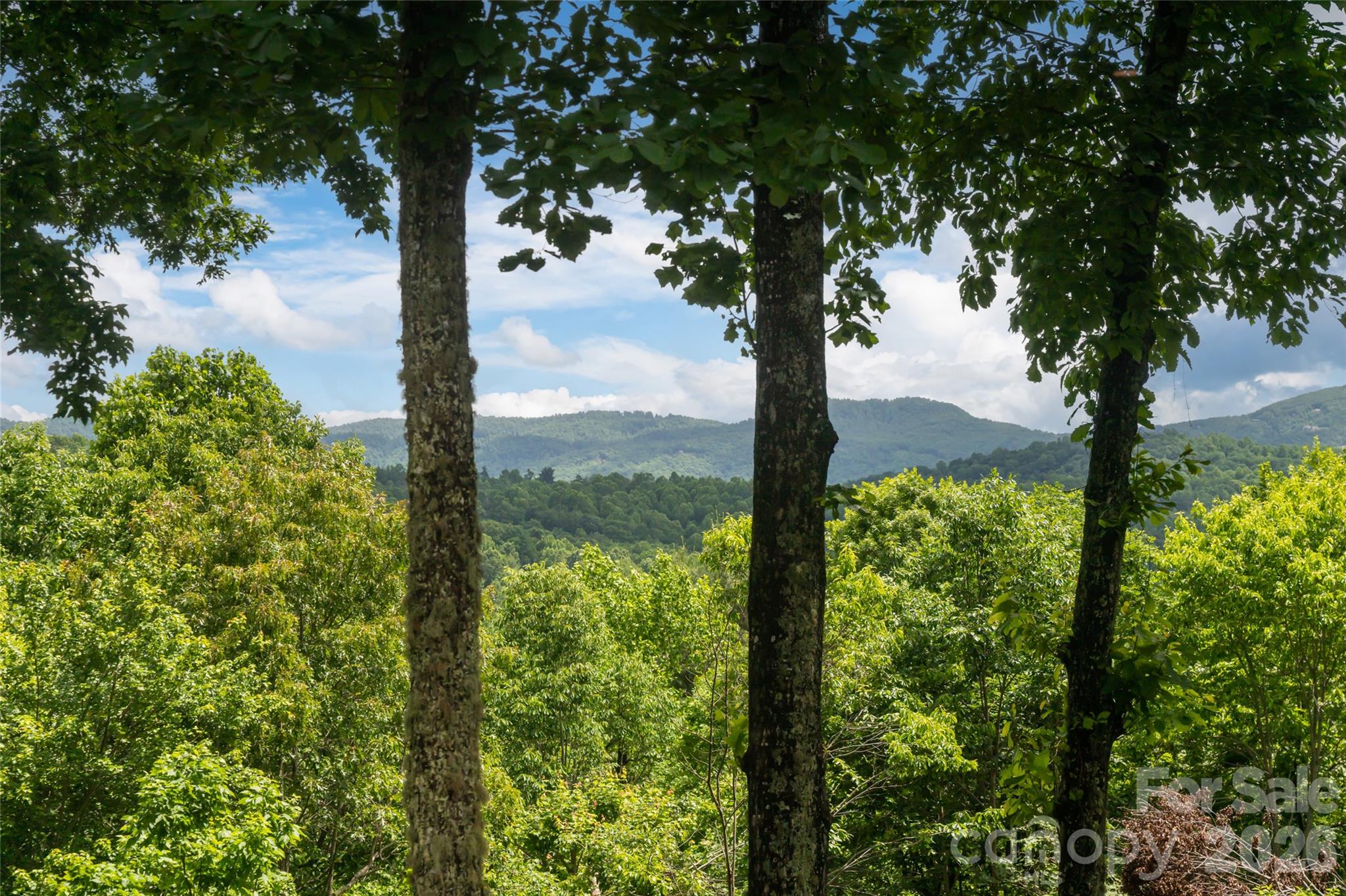 305 Piney Knoll Lane — Hendersonville