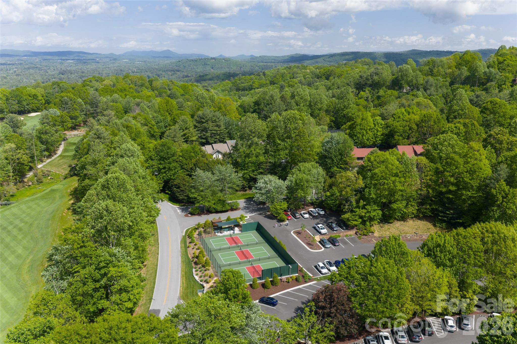 305 Piney Knoll Lane — Hendersonville
