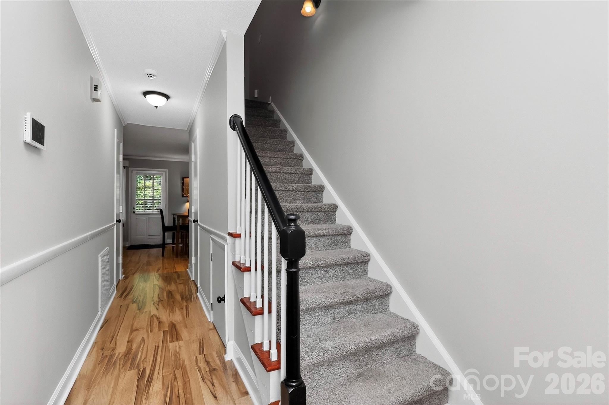 4611 Hedgemore Drive #C — Charlotte