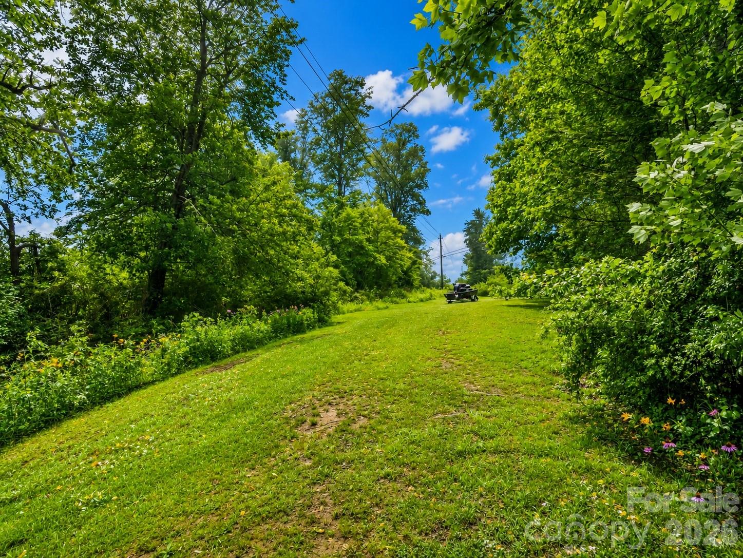 679 Solomon Jones Road — Cedar Mountain