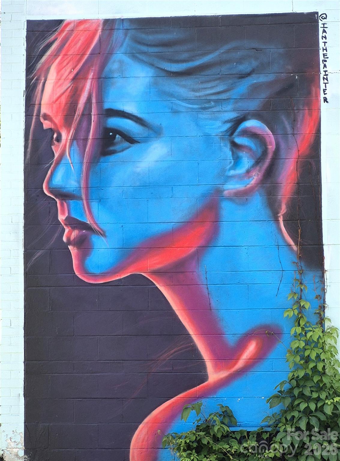 63 Beverly Road W — Asheville