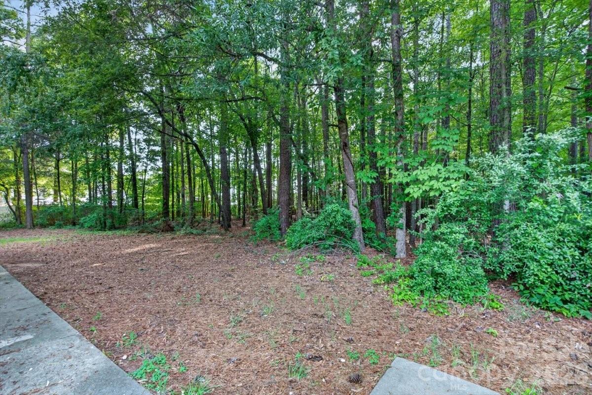 1473 Lowell Trace — Rock Hill