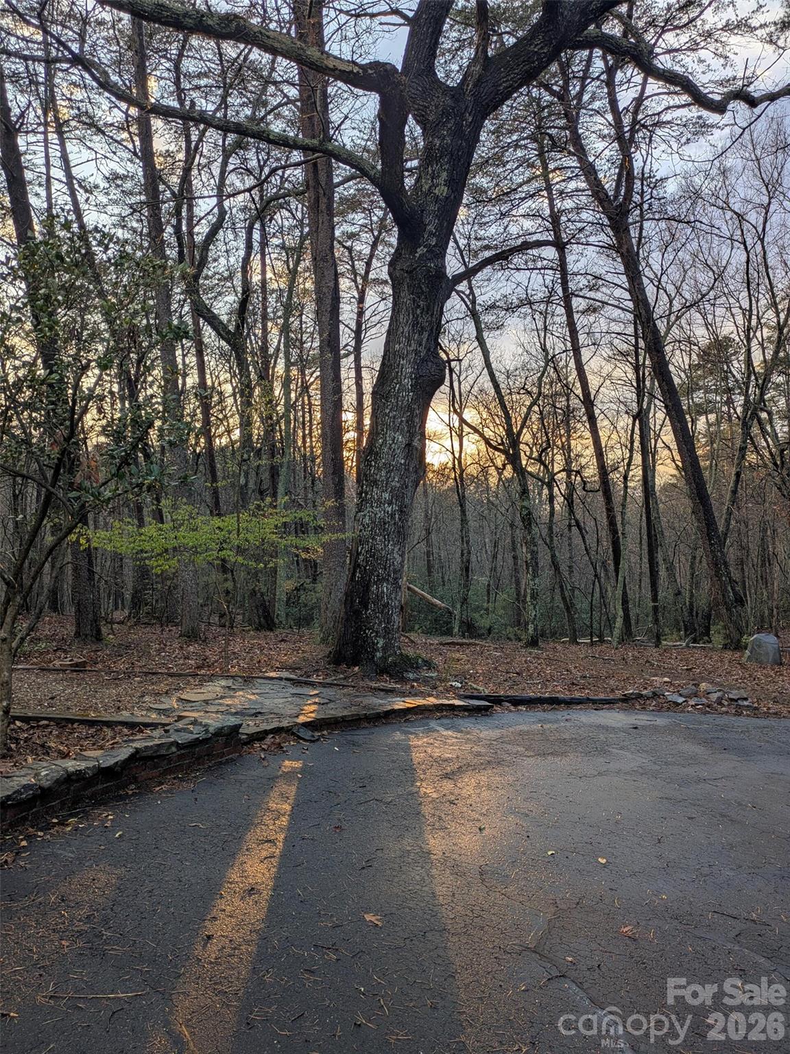 675 Fox Run Lane — Tryon