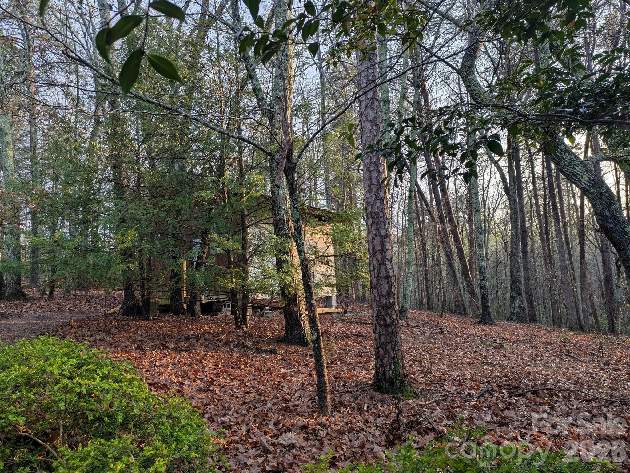 675 Fox Run Lane — Tryon
