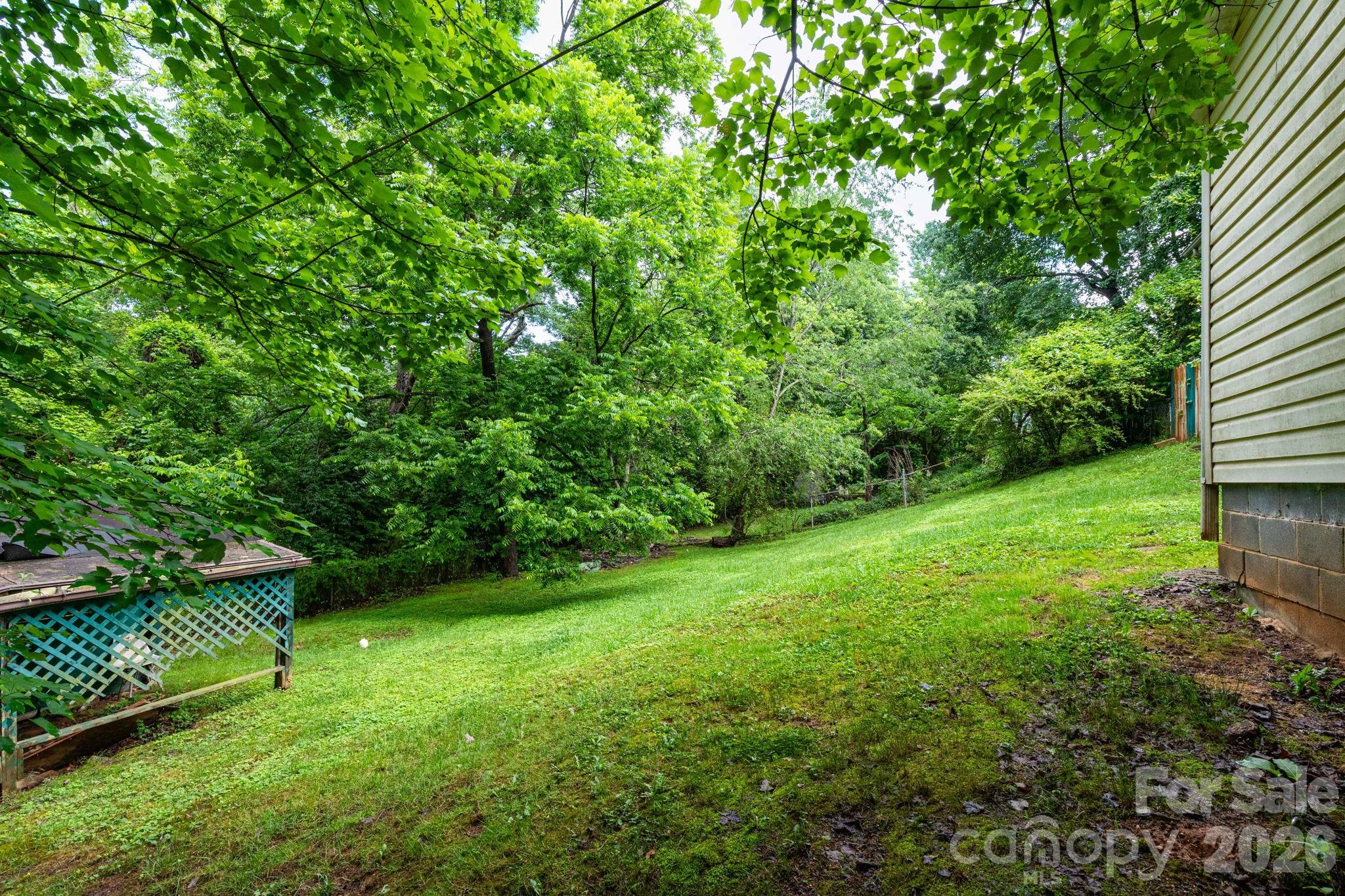 71 Cub Road — Asheville