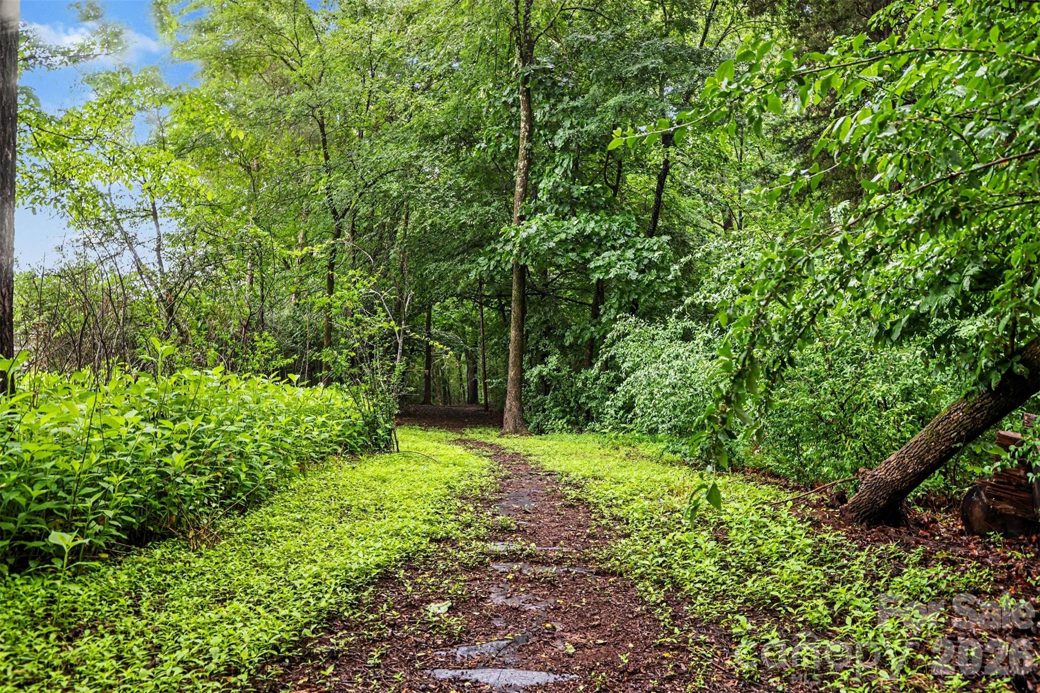 12826 Rusty Blackbird Way — Charlotte