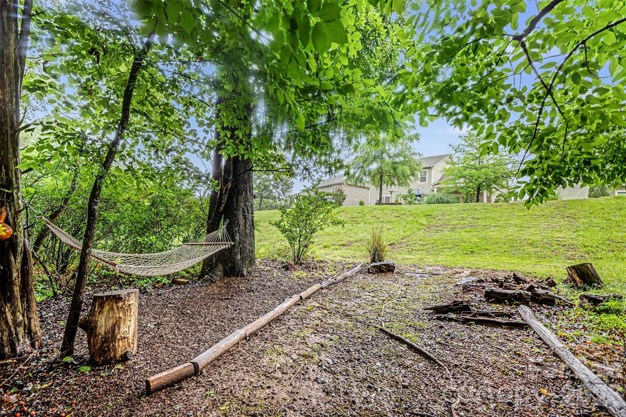 12826 Rusty Blackbird Way — Charlotte