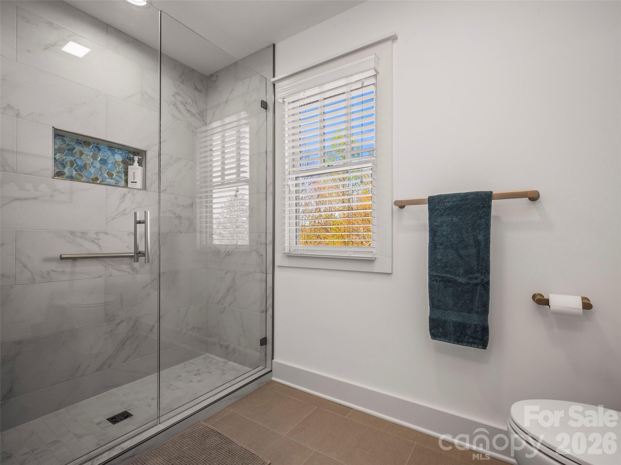 19 Lacoste Drive — Hendersonville
